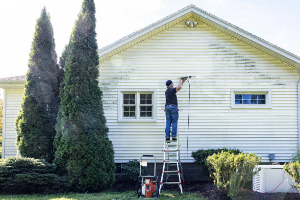 Reliable Hybla Valley, VA  Pressure Washing Services Solutions